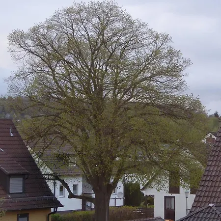 Max 公寓 卡塞尔